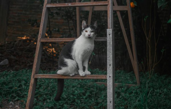 Top Sunglasses for Seniors: Discover the Best Eye Protection for Aging Eyes